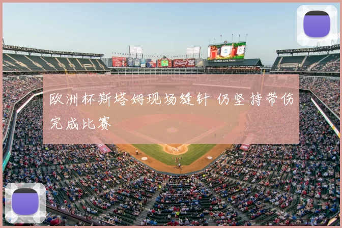 欧洲杯斯塔姆现场缝针 仍坚持带伤完成比赛