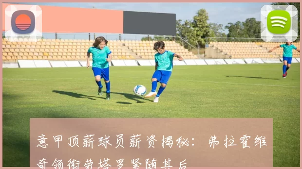 意甲顶薪球员薪资揭秘:弗拉霍维奇领衔劳塔罗紧随其后