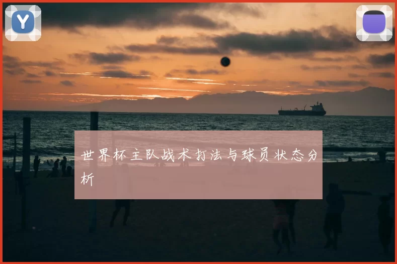 世界杯主队战术打法与球员状态分析