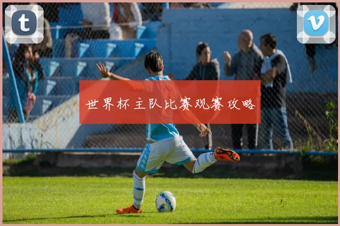 世界杯主队比赛观赛攻略