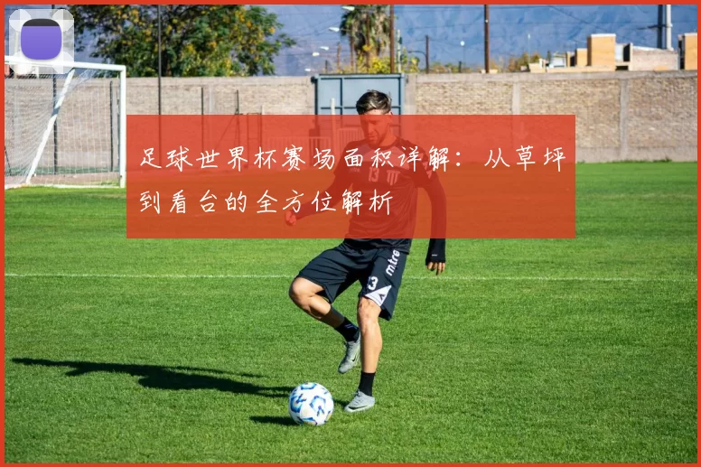 足球世界杯赛场面积详解:从草坪到看台的全方位解析