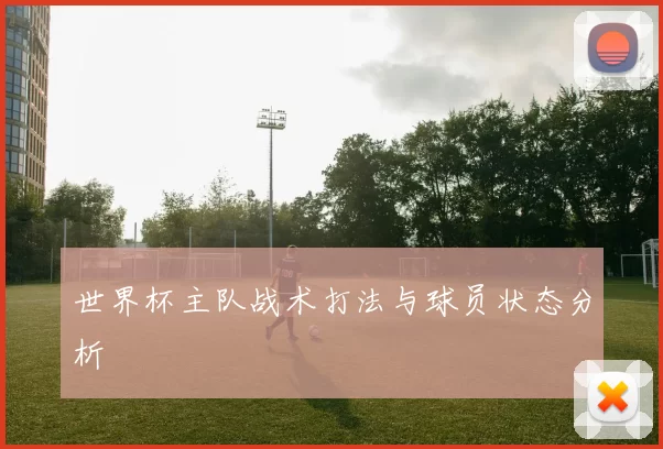 世界杯主队战术打法与球员状态分析