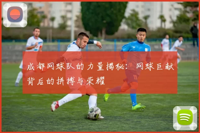 成都网球队的力量揭秘：网球巨献背后的拼搏与荣耀
