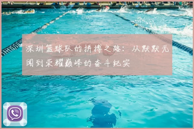 深圳篮球队的拼搏之路：从默默无闻到荣耀巅峰的奋斗纪实