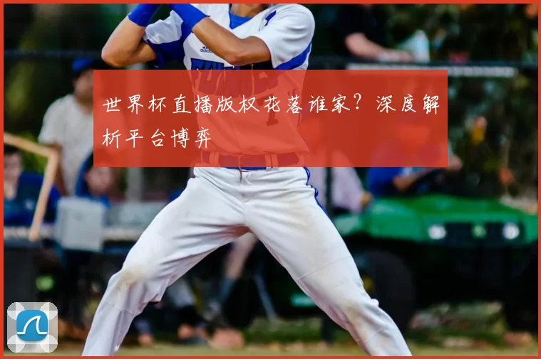 世界杯直播版权花落谁家?深度解析平台博弈