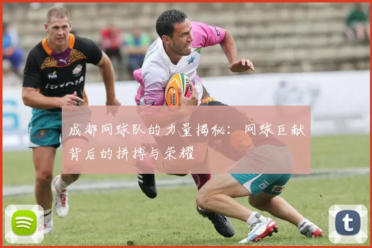 成都网球队的力量揭秘：网球巨献背后的拼搏与荣耀