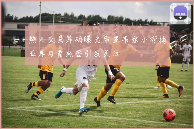 热火交易筹码曝光希罗韦尔小海梅亚库与首轮签引发关注