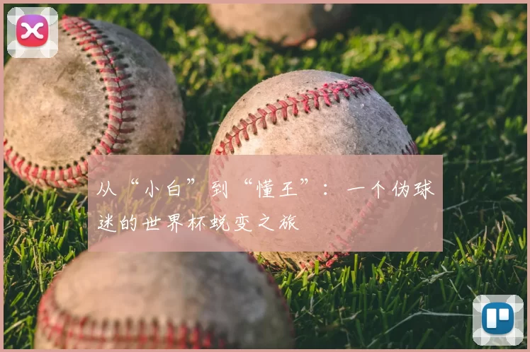从“小白”到“懂王”:一个伪球迷的世界杯蜕变之旅