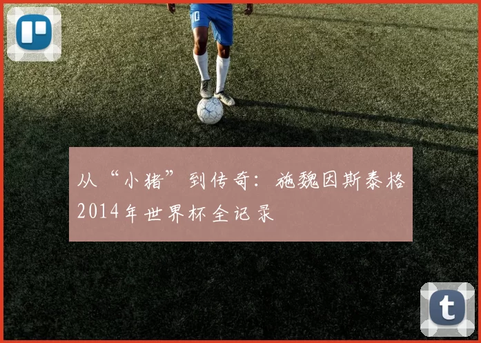 从“小猪”到传奇:施魏因斯泰格2014年世界杯全记录