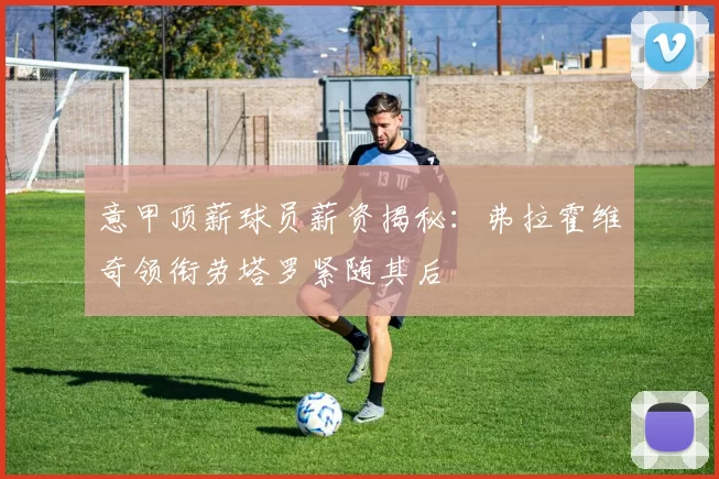 意甲顶薪球员薪资揭秘：弗拉霍维奇领衔劳塔罗紧随其后