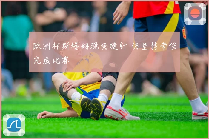 欧洲杯斯塔姆现场缝针 仍坚持带伤完成比赛